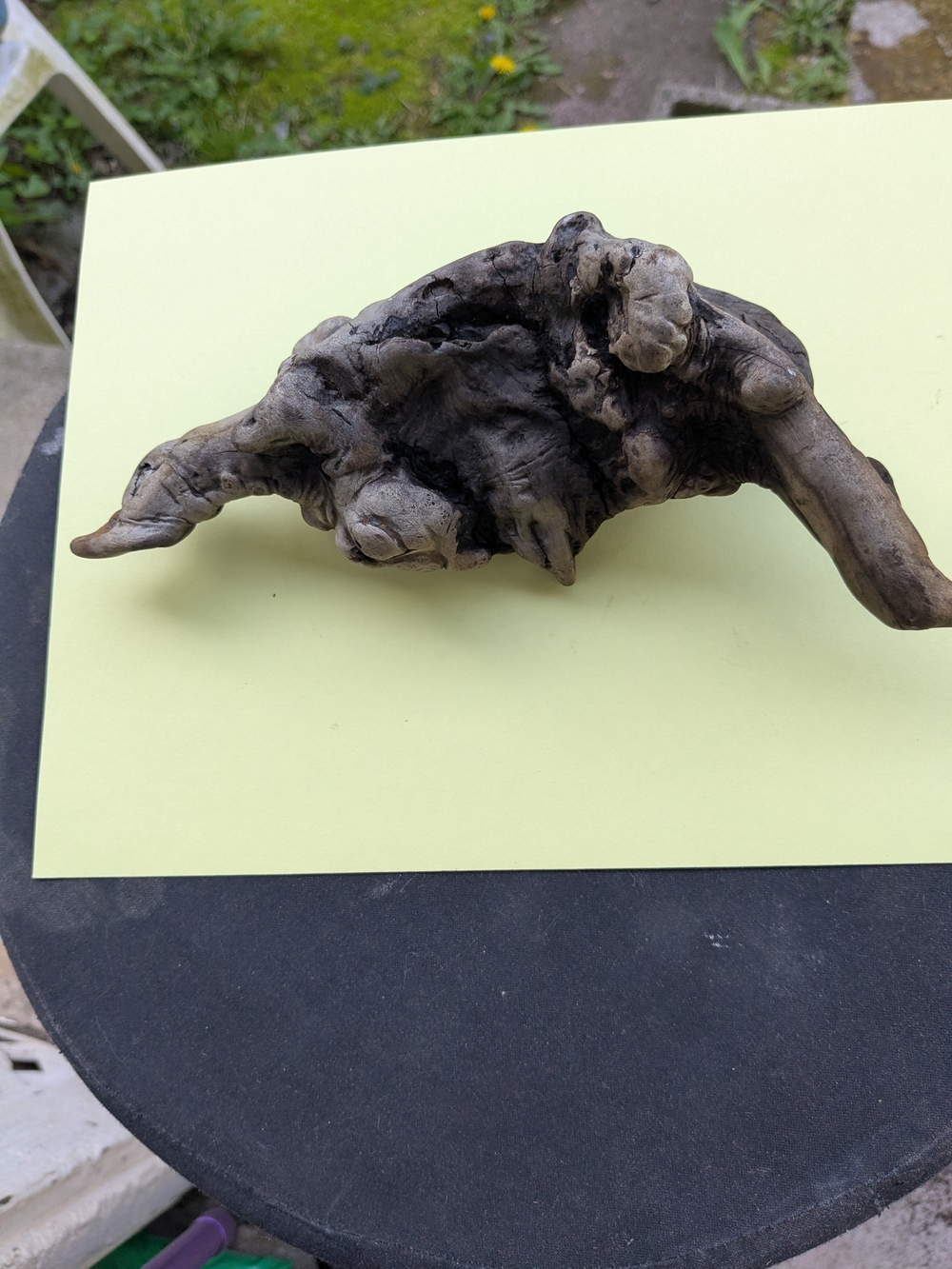 Manzanita Root Wood Burl Nature Sculpture